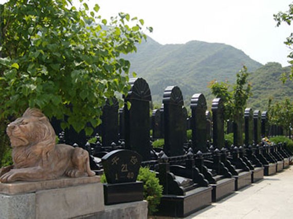 陵园环境